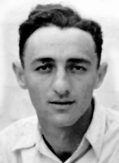 תמונת וולוצ