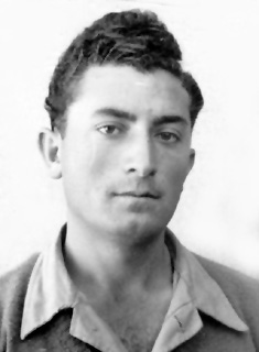 תמונת ציפה משה ז"ל