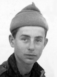 תמונת לפידות ישראל ז"ל