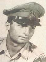 אמנון פרמונט