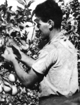 תמונת ויזר מרדכי ז"ל